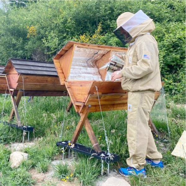 Bee Keeping